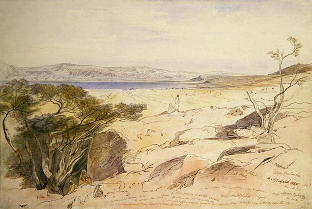 Detail of The Dead Sea, 1858 by Edward Lear