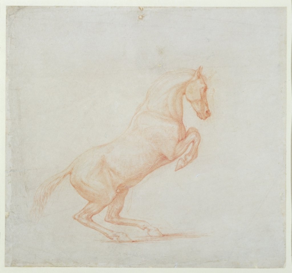 Detail of A Prancing Horse, facing right, 1790 by George Stubbs