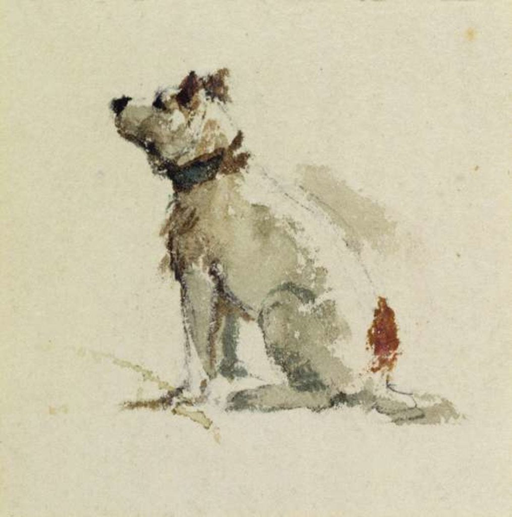 Detail of A Terrier, sitting facing left by Peter de Wint