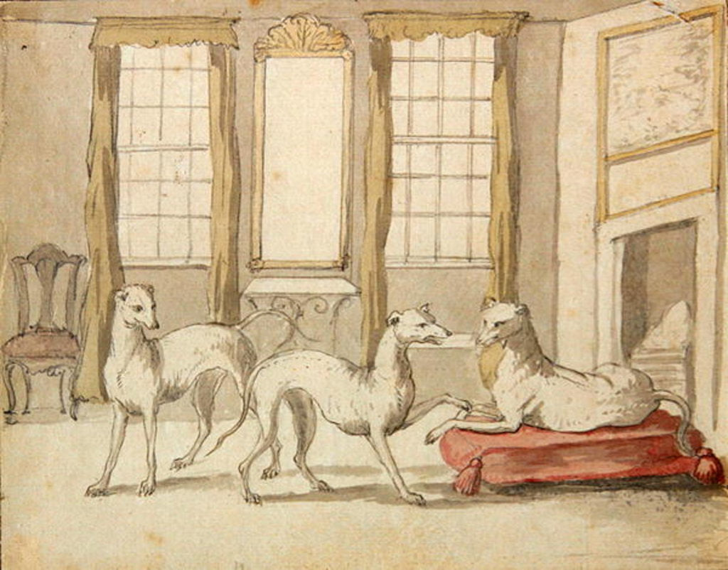 Detail of Three Greyhounds in a room by Pieter Casteels