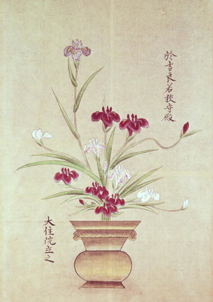 Detail of Orchids by School Japanese