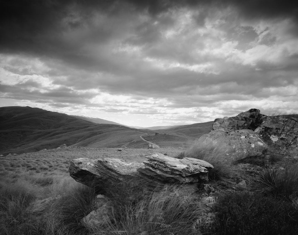 Detail of New Zealand Uplands by Anonymous