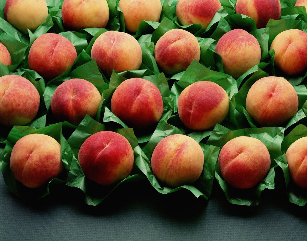 Detail of Peaches on Green Tissue Paper by Corbis