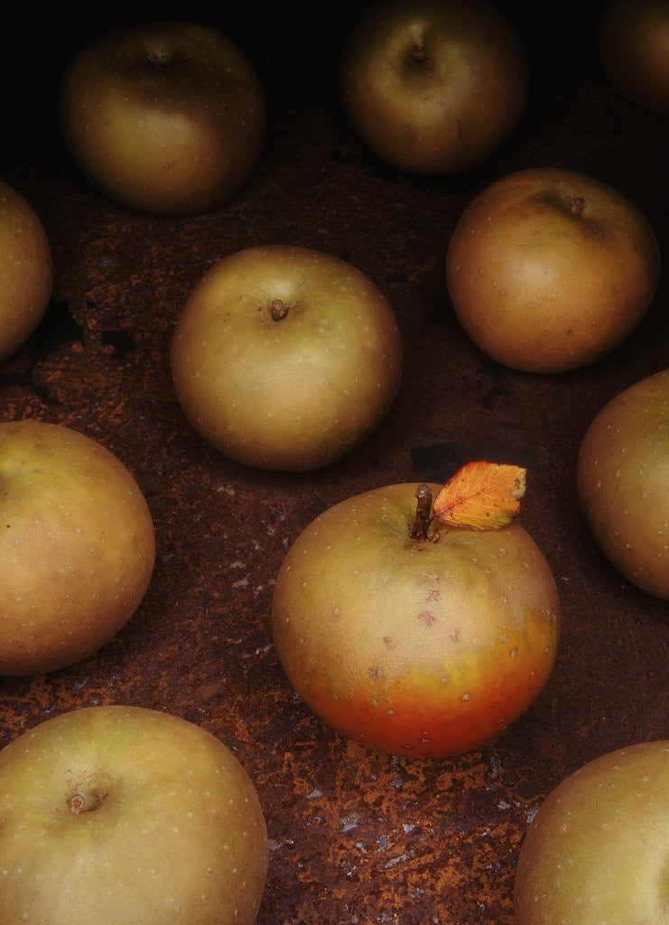 Detail of Apple With Leaf by Corbis
