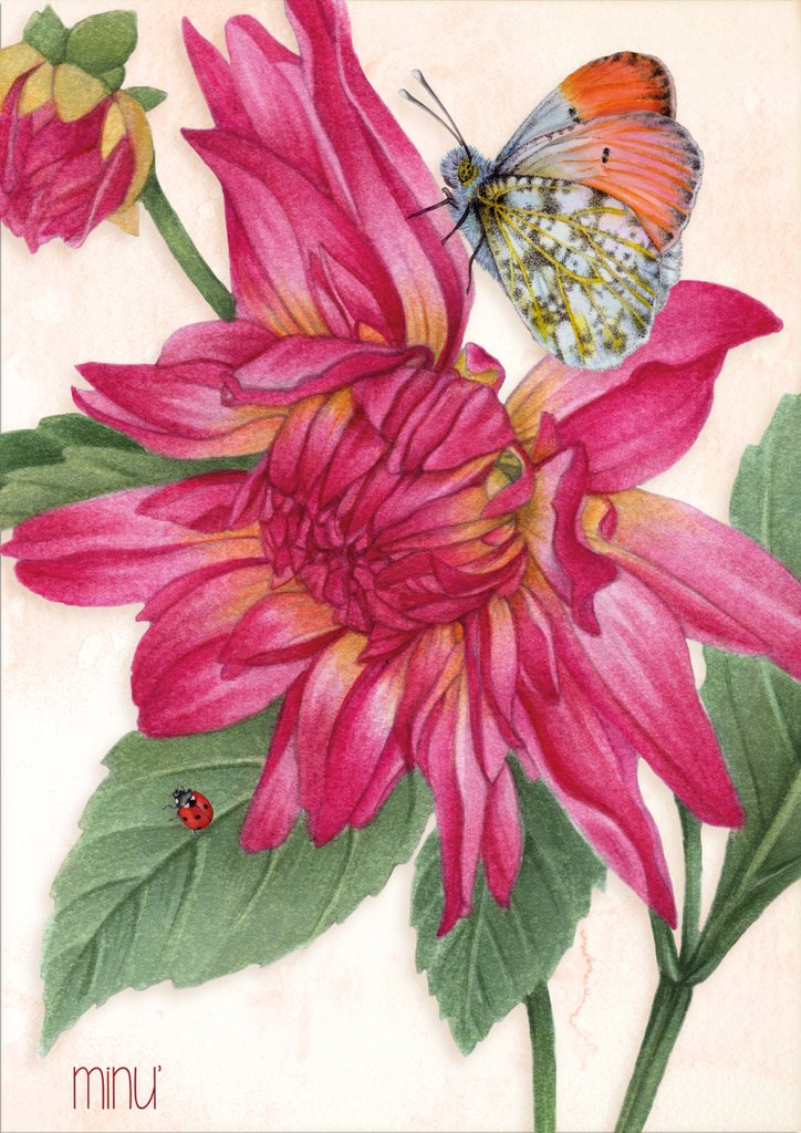 Detail of Dhalia flower by YU.ME