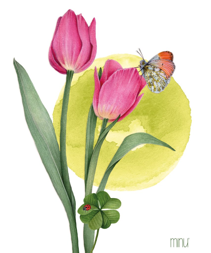 Detail of Tulip flowers by YU.ME