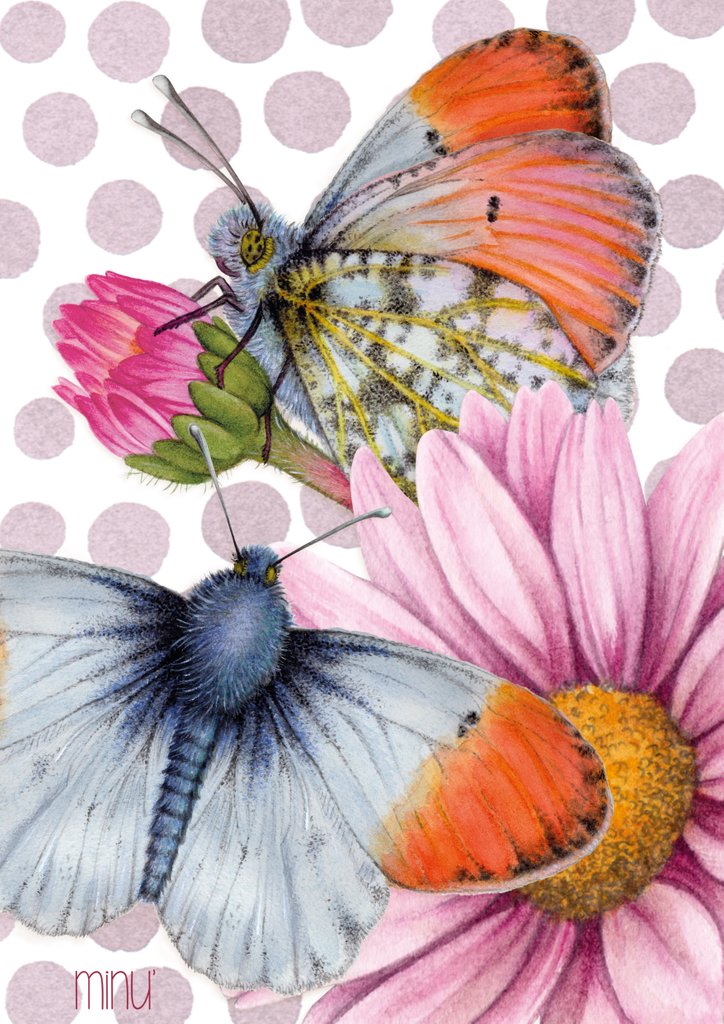 Detail of Nature and geometry by YU.ME