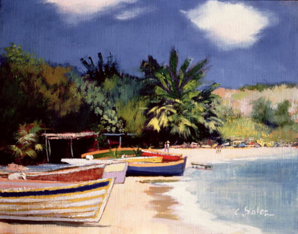Detail of Tartane, Martinique by Claude Salez