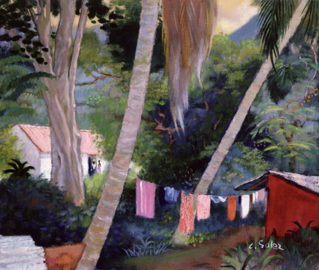 Detail of Drying Washing, Guadeloupe by Claude Salez