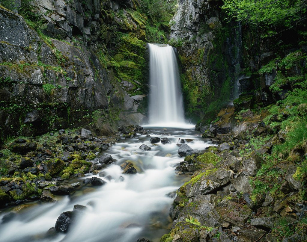 Detail of Christine Falls by Anonymous